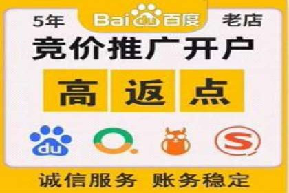 SEM服务案例：打造行业领先品牌